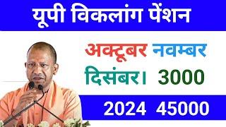 अक्टूबर नवंबर दिसंबर की विकलांग पेंशन कब आएगी / viklang pension kab ayegi divyang /pension kab ayegi