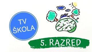 TV SKOLA 5. RAZRED 21 05 2020