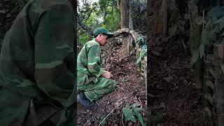 video short yos hav zoov cuab nas #animal #hunting #yoshavzoov #huntingbus #เดินป่า #happyhunting #