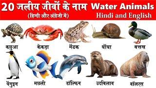 20 Water Animals Name in Hindi and English | पानी में रहने वाले जीवों के नाम | Water Animals |