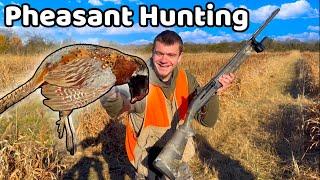 I "Hunted" Pheasants for the First Time!