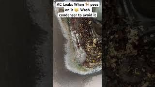 AC Coils leak with Acidic Liquids #shorts #hvac