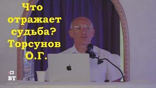 Что отражает судьба? Торсунов О.Г.