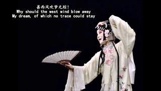 昆曲 牡丹亭 集贤宾 （龚隐雷 江苏省昆剧院）