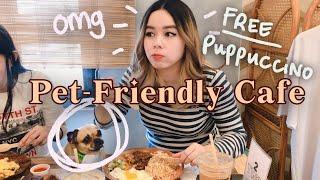 Ph, Pasig - Brewed Specialty Coffee  Pet-Friendly Cafe Review