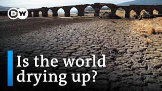 UN holds conference on global water scarcity | DW News