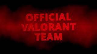 Introducing Newman's Official Valorant Team