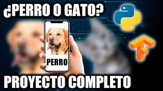 Crea un clasificador de perros y gatos con IA, Python y Tensorflow - Proyecto completo