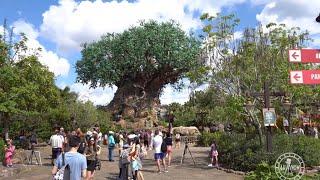 Disney's Animal Kingdom 2019 4K Full Complete Walkthrough Tour | Walt Disney World Orlando Florida