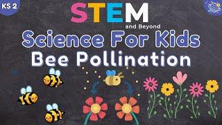 How Bees Help Flowers Grow: The Magic of Pollination! | KS2 Science | STEM and Beyond