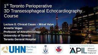 8 Vegas - 2019 - Cases: MV. Toronto Perioperative 3D TEE Course 2019