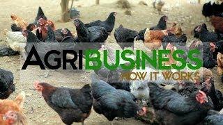 Agribusiness Philippines