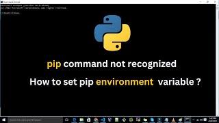 Fixing a Fatal "pip" Command Error -  set 'pip' environment variable