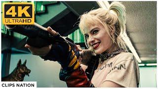 Birds of Prey | Harley Quinn vs Cops & Prisoners | Police Station Fight Scene | 4K Ultra HD