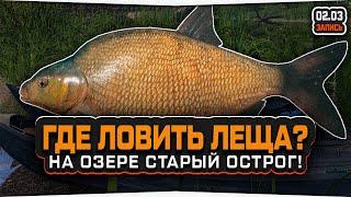Где клюет ЛЕЩ на озере Старый Острог? • Русская Рыбалка 4