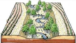 Natural Channel Stream Design