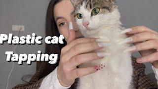 Asmr tapping on plastic cat 