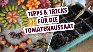 Wie und wann sät man Tomaten? Step by Step Tomaten anbauen