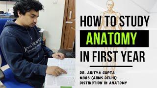 How to study Anatomy in 1st Year #mbbs #1styearmbbs
