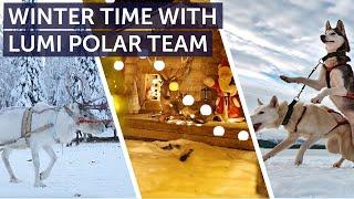 Dreaming with Lumi Polar team