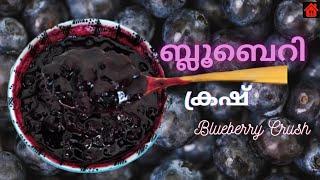 How To Make Blueberry Crush Recipe || Easy Blueberry Crush/Thick Sauce/ Jam Recipe | Homemade Crush