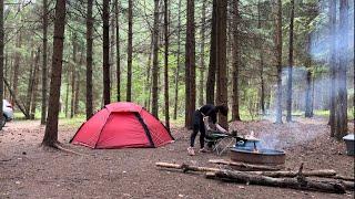 TWO NIGHTS CAMPING UNDER PINE CANOPY • CAR CAMPING #carcamping