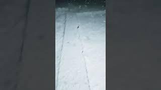 snowfall snowflakes    Subscribe Click Like