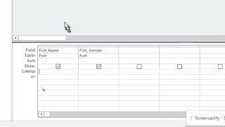 MS Access Getting Query criteria from a form user input