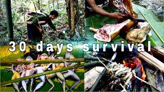 Full video: 30 days of survival alone in the forest - survival challenge