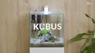 NEW WHITE COLOUR - KUBUS AQUARIUM RANGE #aquarium #fishtank #aquariumfish #aquatlantis