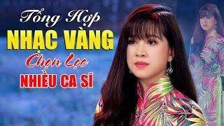 Tổng Hợp Nhạc Vàng Bolero Chọn Lọc Rất Nhiều Ca Sĩ Trẻ Làm Mê Mẩn Lòng Người - Nhạc Vàng Xưa Bất Hủ