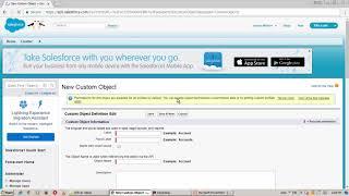 Salesforce - Objects