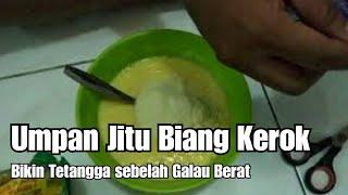 RESEP UMPAN JITU BIANG KEROK GALATAMA LELE | TERBUKTI TOP | Saya Selalu JUARA Pakai Umpan Ini