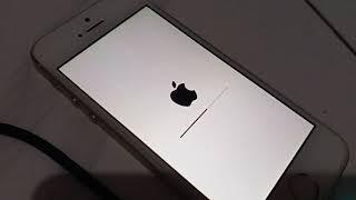 Cara Downgrade dari iOS 14 Beta 1 ke iOS 13.5.1 lewat iTunes