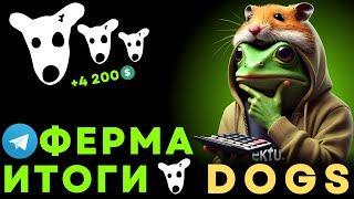  4 200 $ на ТАПАЛКЕ DOGS (отчет): ФЕРМА Телеграм (аирдропы в крипте, абуз тапалок, создание фермы)