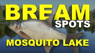 Russian Fishing 4 BREAM SPOTS Mosquito Lake