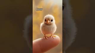 World's smallest animals! #animals #foryou