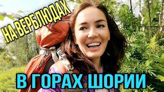 Первый раз в горах и сразу ТАКОЕ!!!