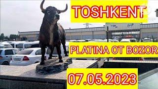 Toshkent platina ot bozori