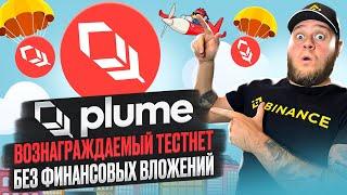 Plumeвознаграждаемый тестнет без финансовых вложений