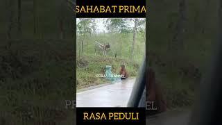 rasa peduli#motivasihidup #motivasihidup