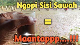 ngopi sisi sawah guys