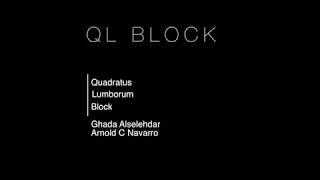 Quadratus Lumborum "QL" Block