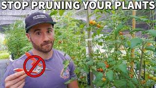 Please STOP PRUNING Your Plants, It's Probably Killing Them!