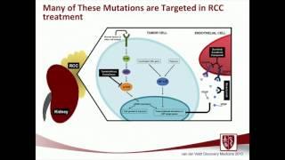 The Genomics of Kidney Cancer Alexey Aleshin, MD, MBA