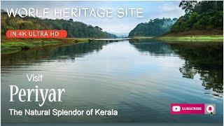 Periyar national park in 4k ultra HD l Thekkady, Kerala l India I UNESCO world heritage site