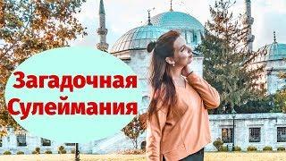 Турция. Колоритный Стамбул  и мечеть Сулеймания.