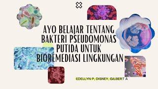 Penggunaan Bakteri Pseudomonas Putida dalam Bioremediasi Lingkungan (Disney, Edellyn K., Gilbert A.)