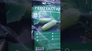 ГЕОТЕКСТИЛЬ ИЗ СВЕТОФОРА