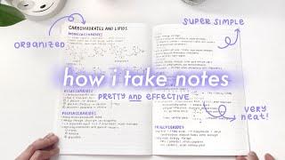 simple and aesthetic notes  // my note-taking process ~